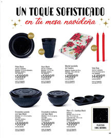 Catálogo Millanel Cosmética Página 205