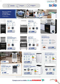 Catálogo Hiraoka Página 39