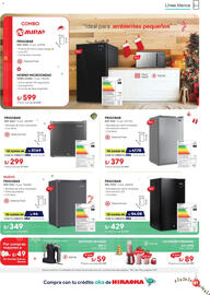 Catálogo Hiraoka Página 45