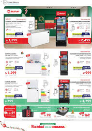 Catálogo Hiraoka Página 46