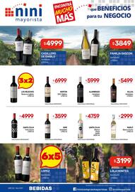 Catálogo Nini Mayorista semana 50 Página 16