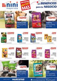 Catálogo Nini Mayorista semana 50 Página 39