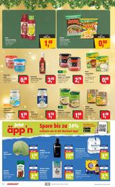 Markant Markt Prospekt woche 50 Seite 10