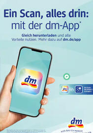 DM DE folder Pagina 6