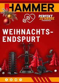 Hammer Prospekt Seite 1