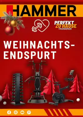 Hammer Prospekt (gültig bis 29-12)