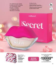 Catálogo Millanel Cosmética Página 45