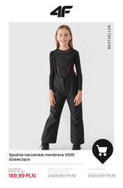 4F gazetka tydzień 49 Strona 17