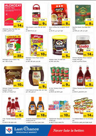 Last Chance flyer Page 5