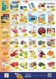 Nesto catalogue Page 2