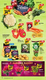 Albert leták | Supermarket Strana 11