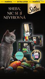 Albert leták týden 50 Strana 20