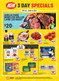IGA catalogue Page 1