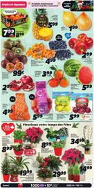 IGA flyer week 50 Page 5
