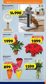 ALDI akciós újság hét 50 Oldal 37