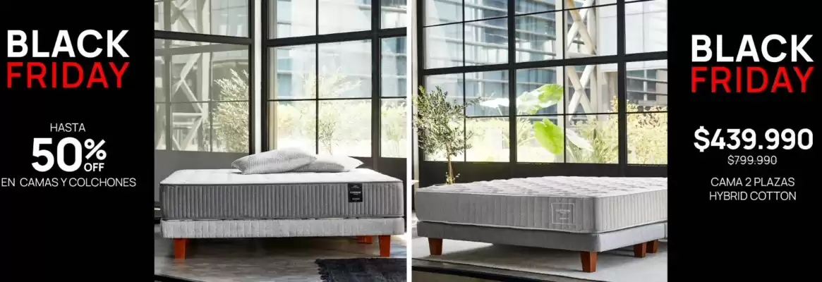 Catálogo Cannon Home (válido hasta 10-12)