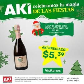 Catálogo Akí Página 13