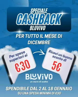 Volantino BluVivo (valido fino al 18-01)