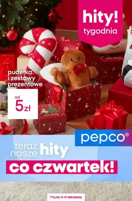 Pepco gazetka (ważność do 17-12)