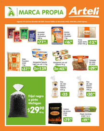 Folleto Arteli Página 3