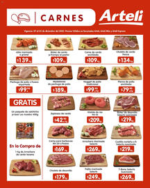 Folleto Arteli Página 9