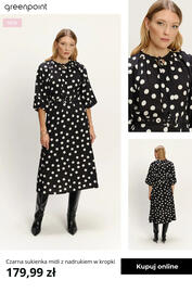 Greenpoint gazetka tydzień 50 Strona 2