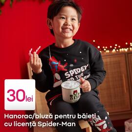 Catalog Pepco săptămâna 50 Pagină 2