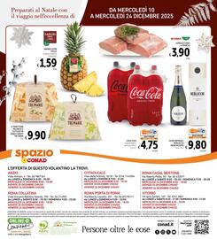 Volantino Spazio Conad Pagina 32