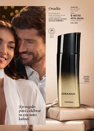 Catálogo Yanbal Página 109