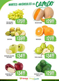 Folleto Soriana Mercado Página 2