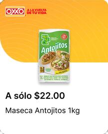 Catálogo OXXO Página 10