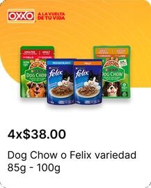 Catálogo OXXO Página 19