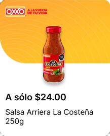 Catálogo OXXO Página 21