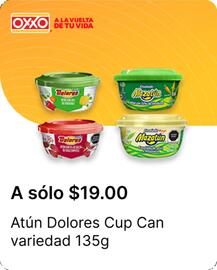 Catálogo OXXO Página 24