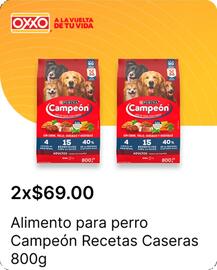 Catálogo OXXO Página 26