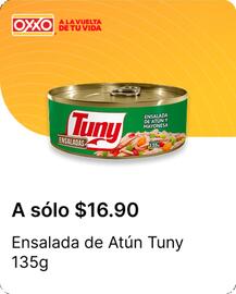 Catálogo OXXO Página 27