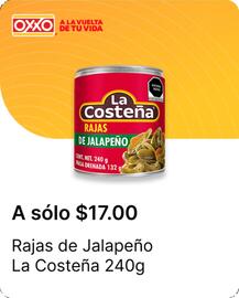 Catálogo OXXO Página 31