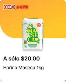 Catálogo OXXO Página 36