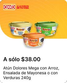 Catálogo OXXO Página 43