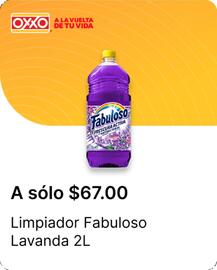 Catálogo OXXO Página 67