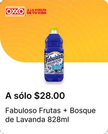 Catálogo OXXO Página 73