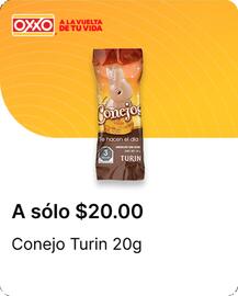 Catálogo OXXO Página 78