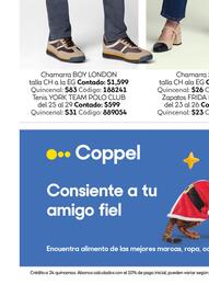 Catálogo Coppel Página 16