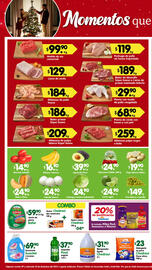 Folleto Arteli Página 1