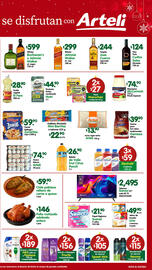 Folleto Arteli Página 2