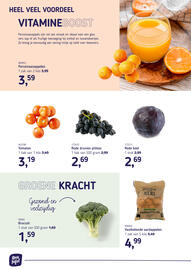 Van Hoeckel folder Pagina 2