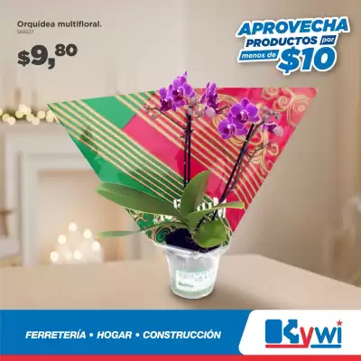 Catálogo Kywi (válido hasta 12-12)