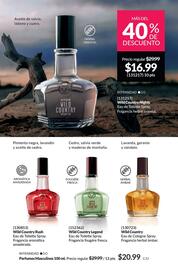 Catálogo AVON Página 100