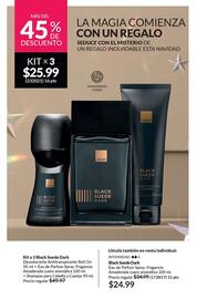 Catálogo AVON Página 13