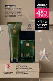 Catálogo AVON Página 8